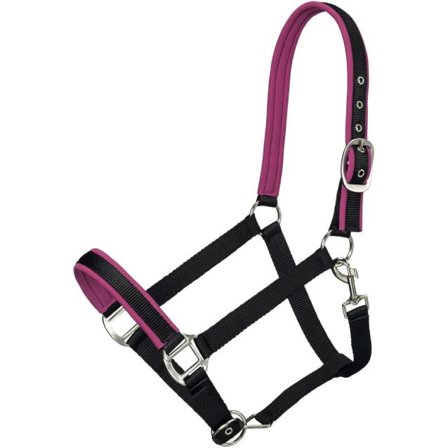 Neoprene Padded Halter