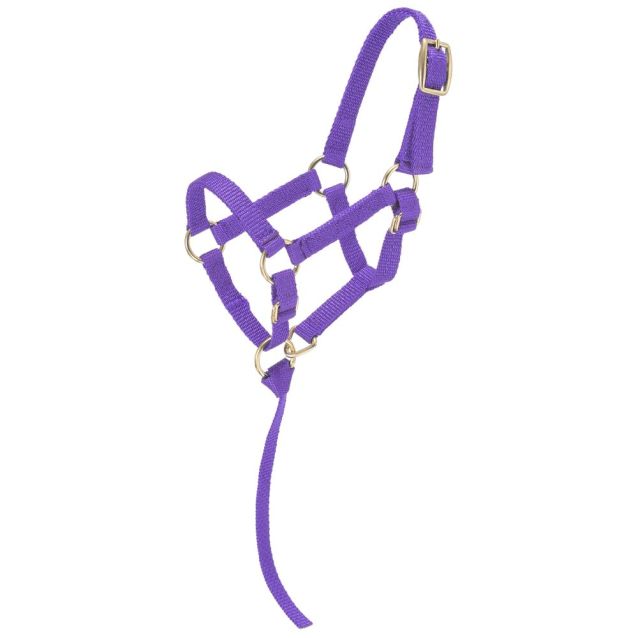 Miniature Adjustable Horse Halter