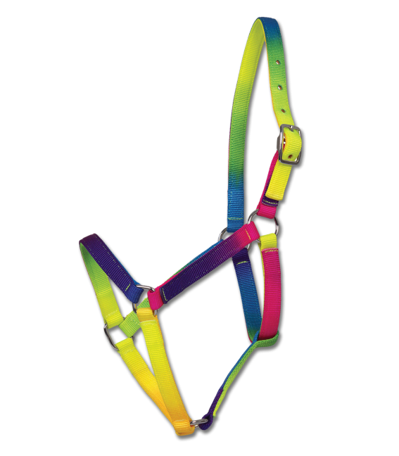 Rainbow Horse Halter