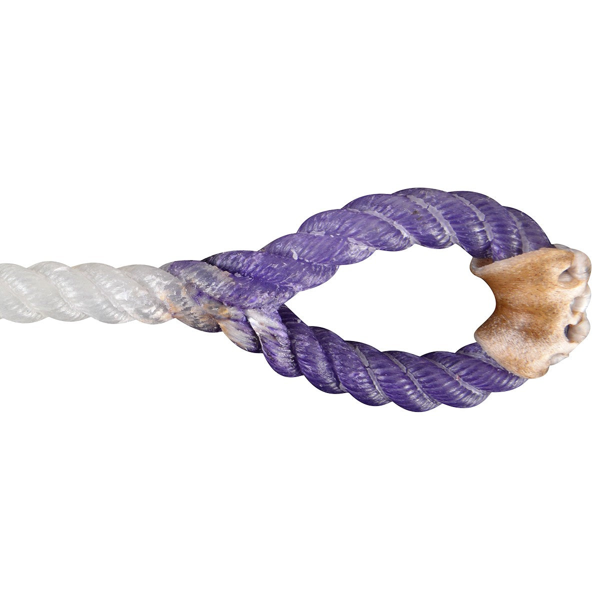 White Racer Calf String Medium Purple Eye