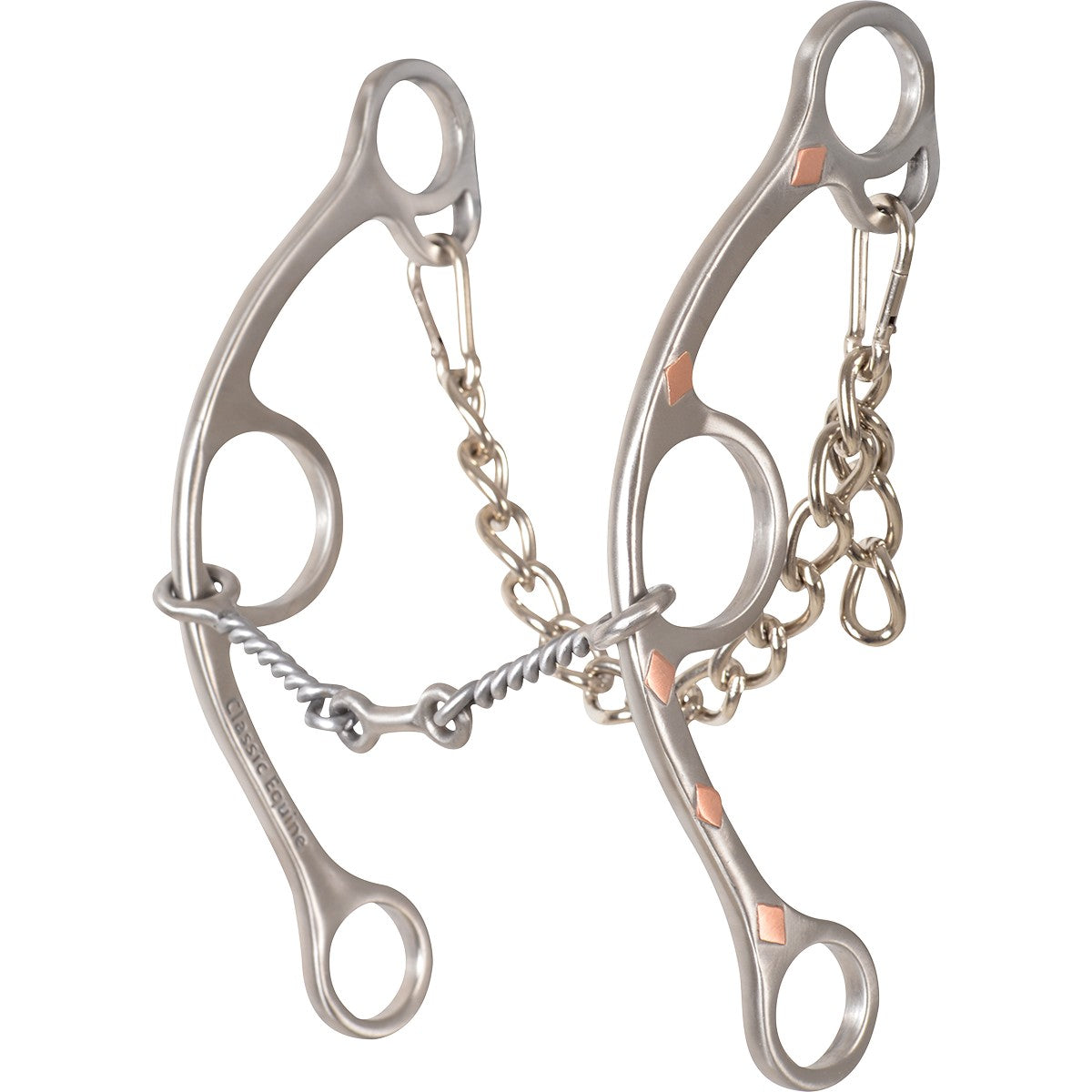 Sherry Cervi Diamond Long Shank Bits