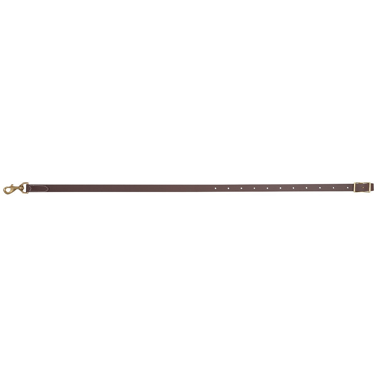 Martin Biothane Tie Down
