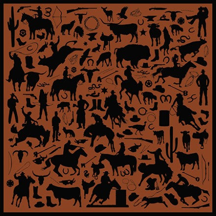 Wyoming Traders Silk Wild Rags