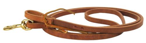 PC Reins