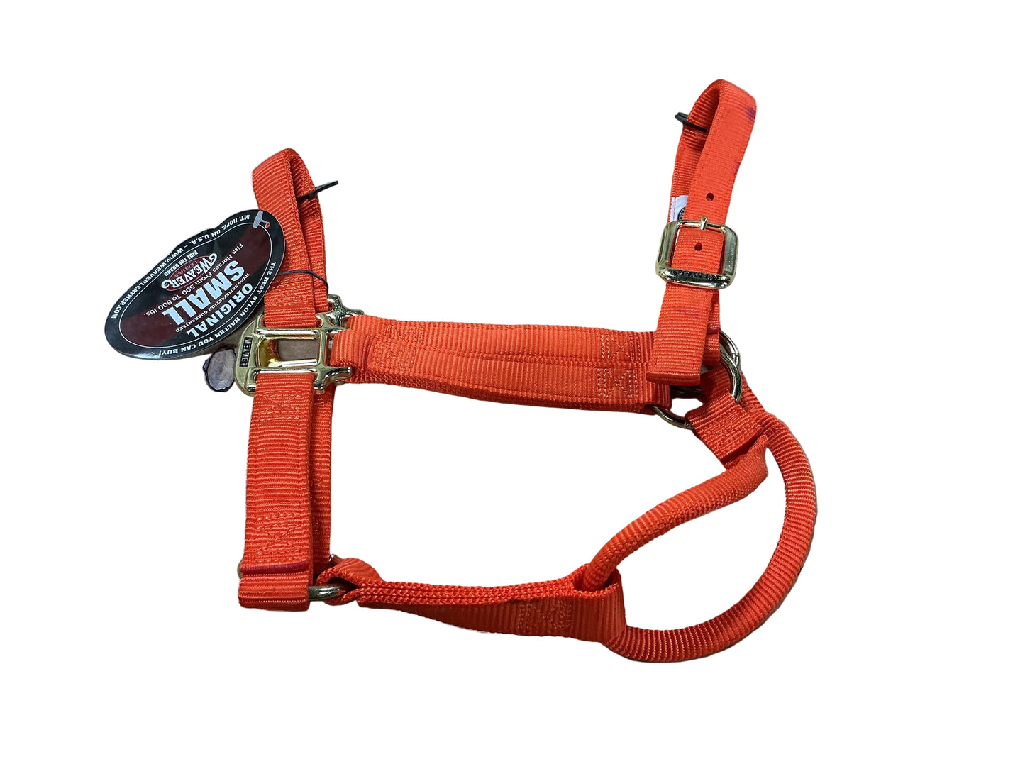 Small Horse Halter Orange