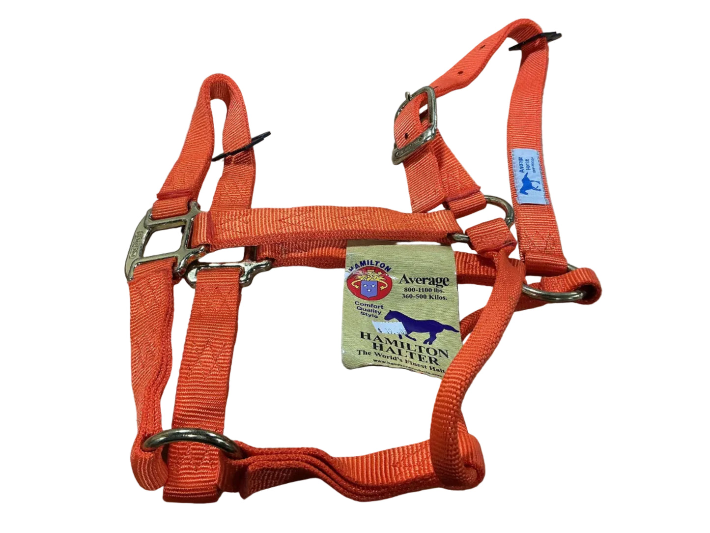 Hamilton Halter Orange Average Size