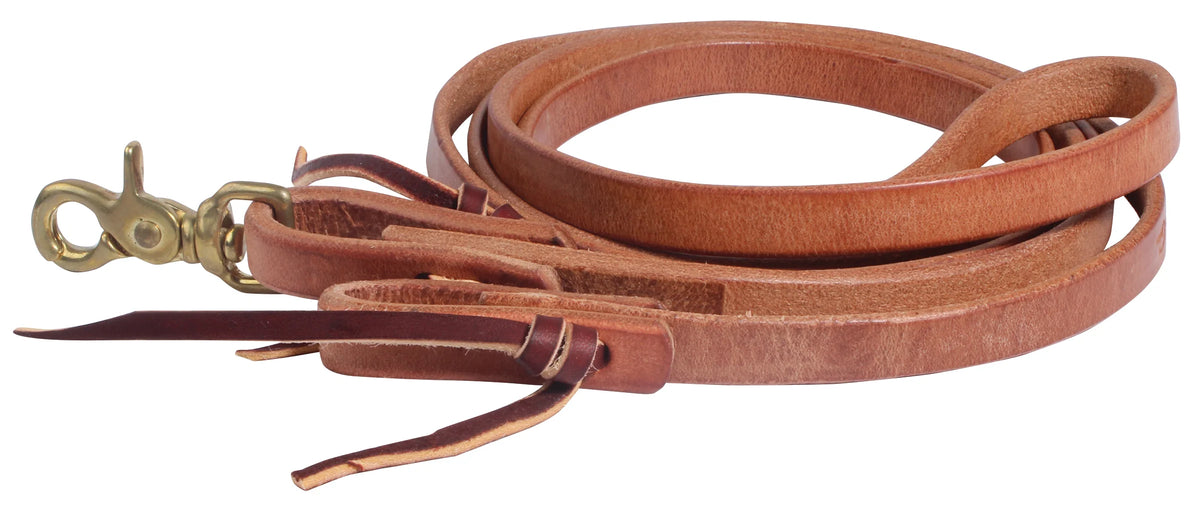 PC Reins