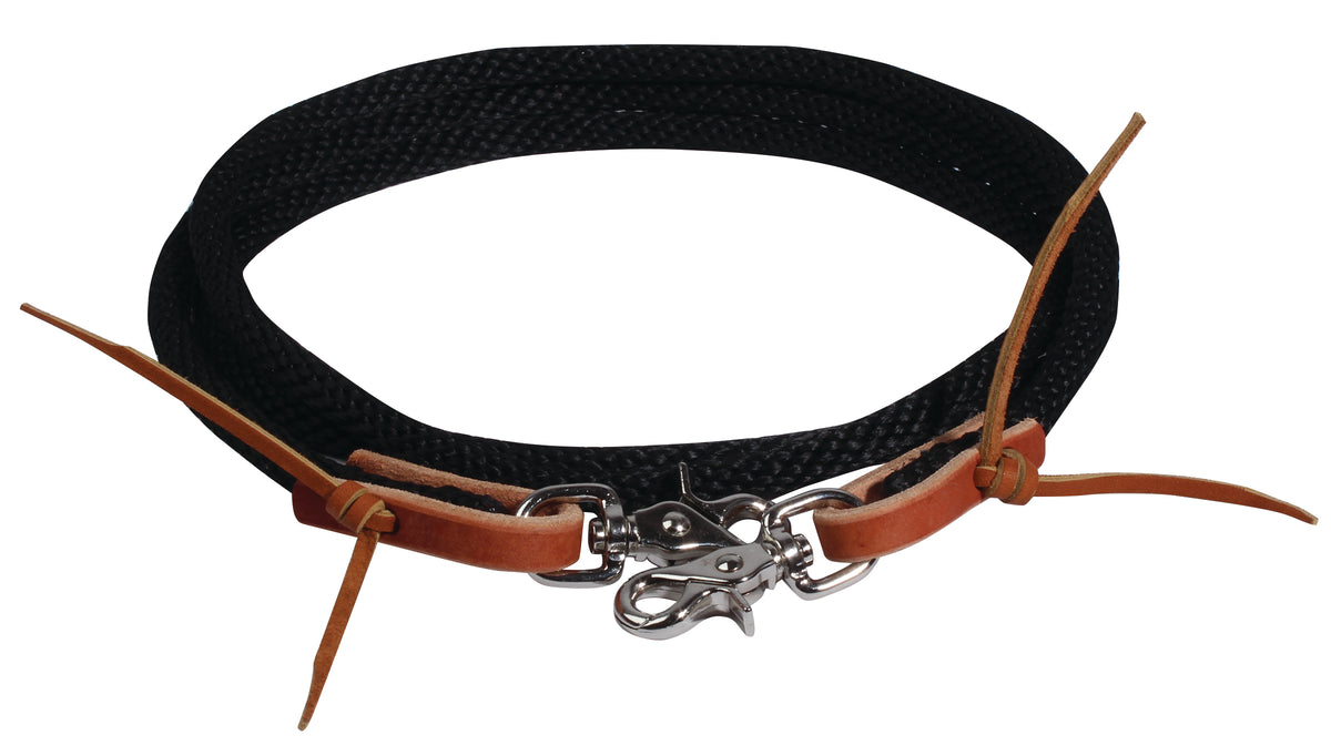 PC Reins