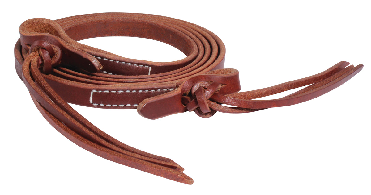 PC Reins