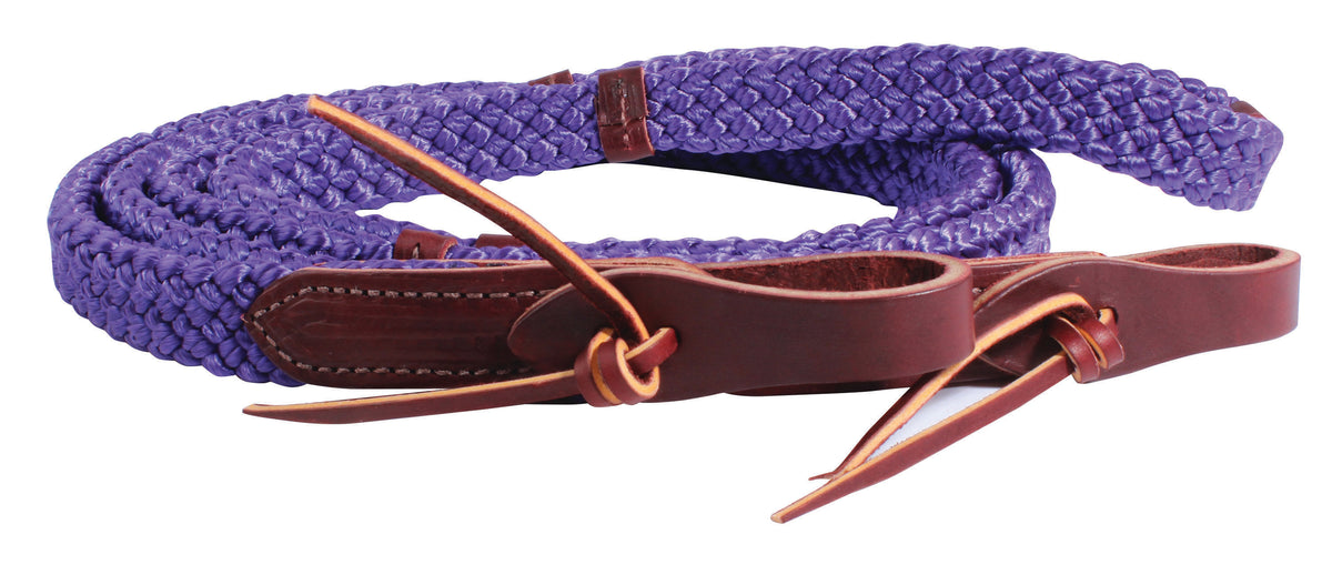 PC Reins