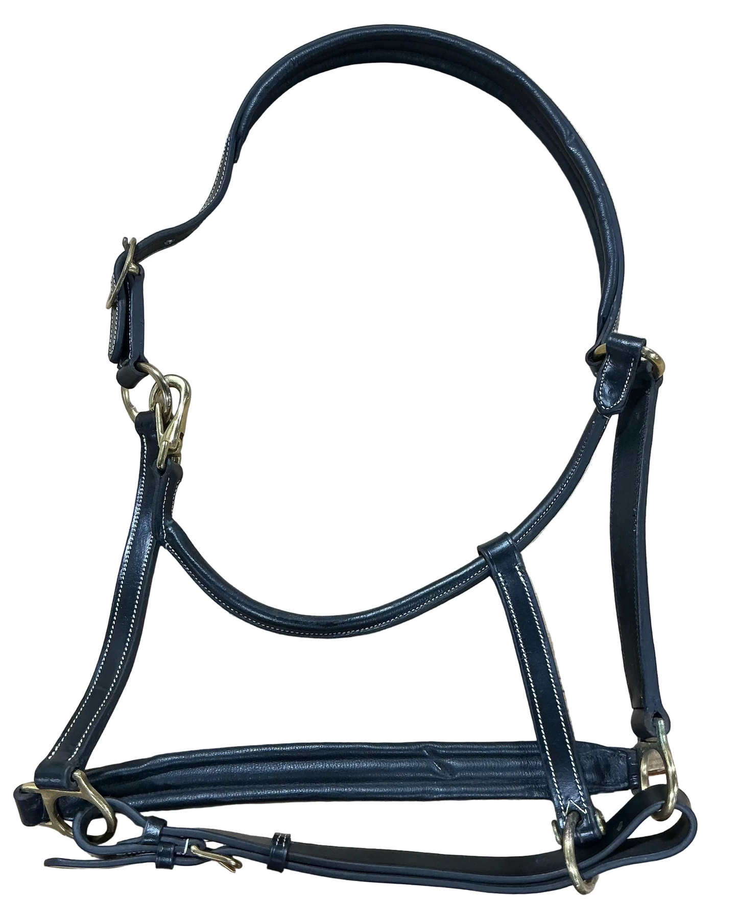 Black Leather Halter Warmblood Size