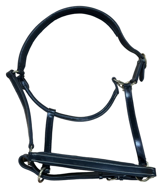 Black Leather Halter Warmblood Size