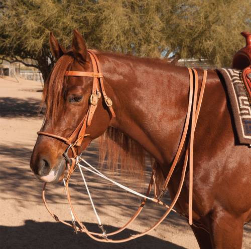 German Martingale Split Reins Al Dunning Tack