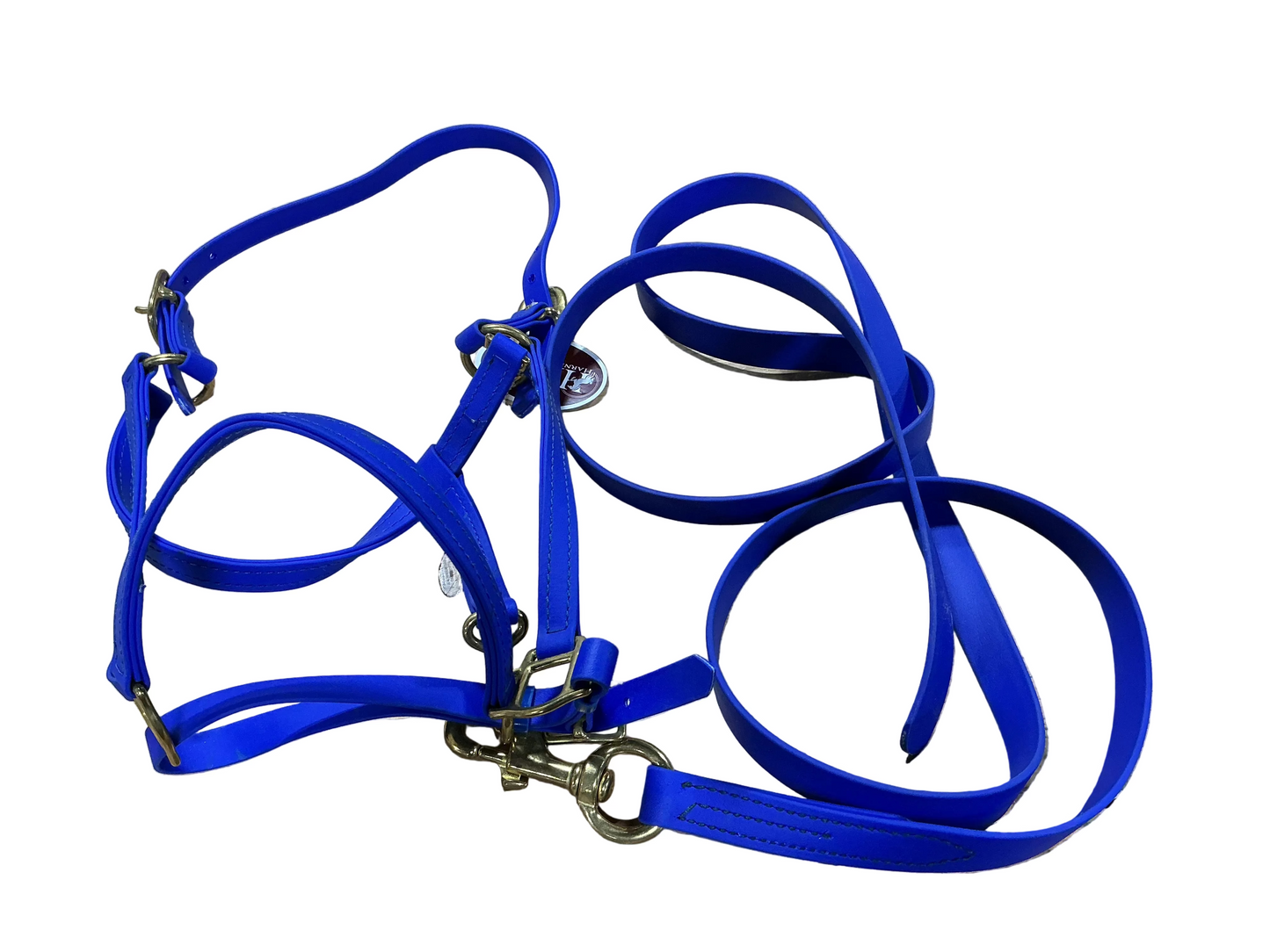 Blue Biothane Halter and Lead