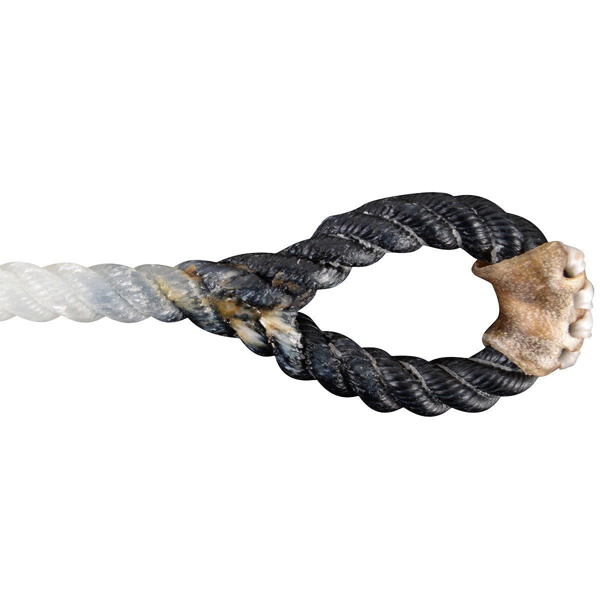 White Racer Calf String Medium Black Eye