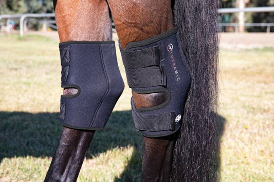Professional Choice Theramic Hock Boots
