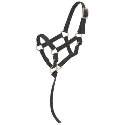 Miniature Adjustable Horse Halter
