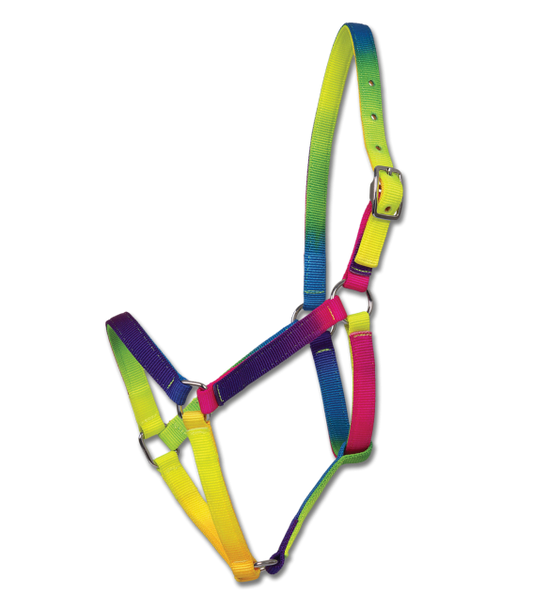 Rainbow Horse Halter