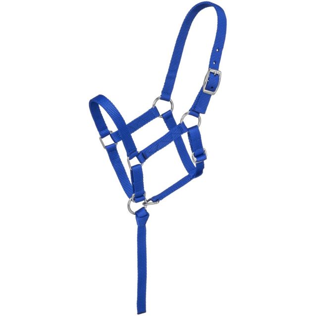 Tough1 Foal Halters