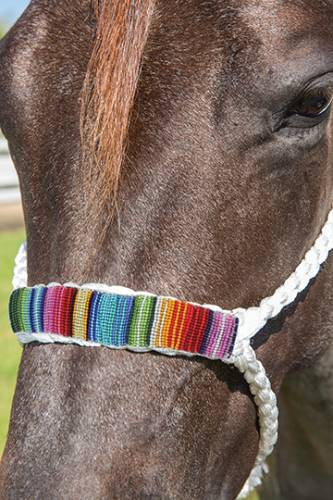 Professional Choice Cowboy Braided Halter w/ 10' Lead- HRCB -White