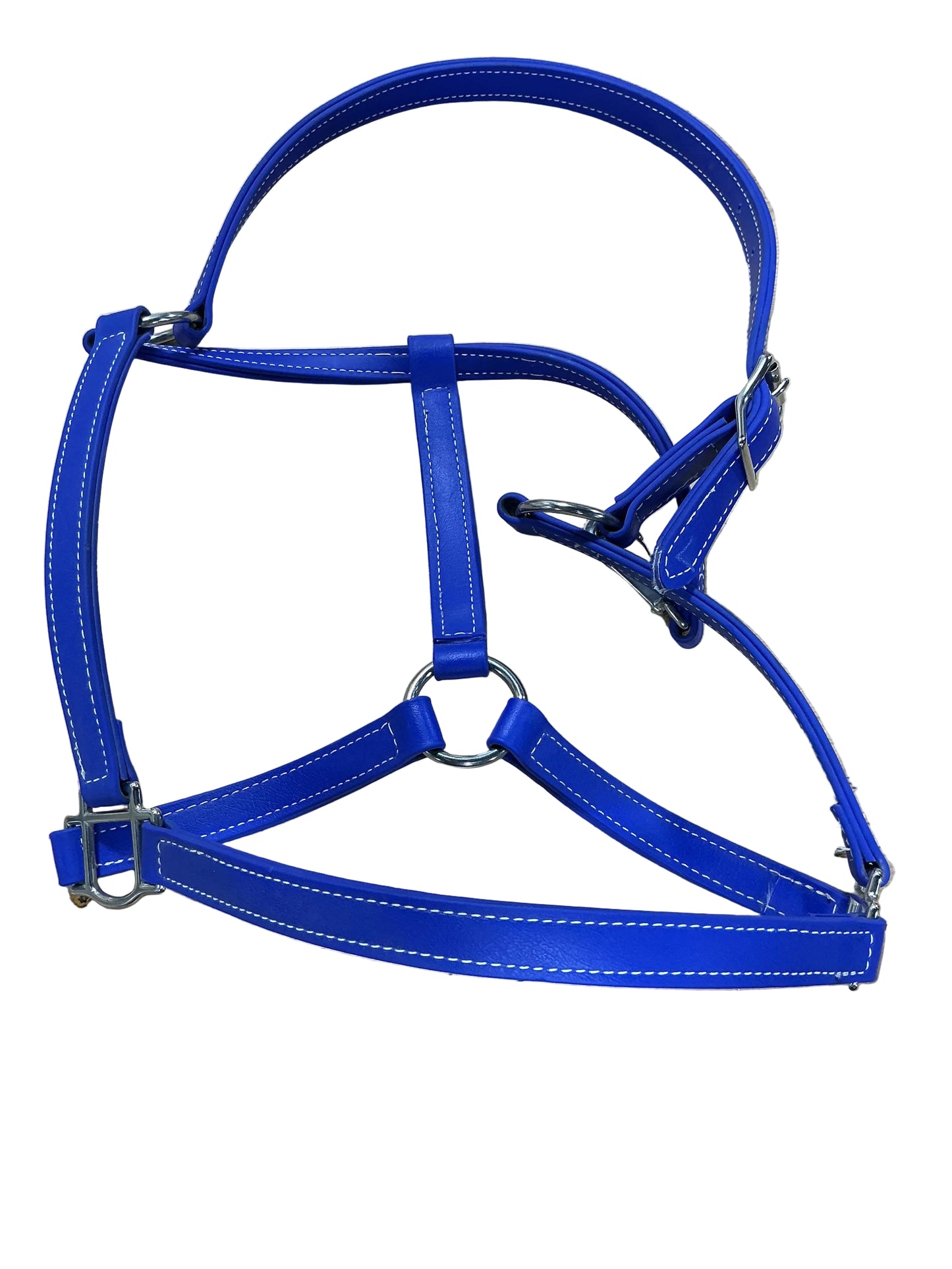 Royal Blue Biothane Halter