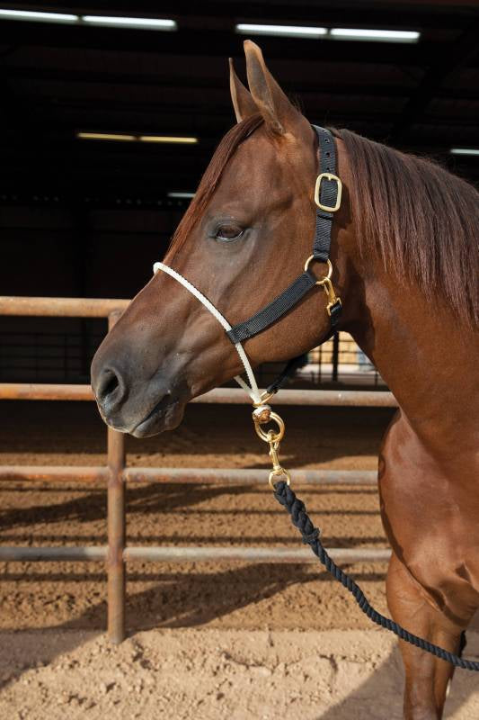 Nylon Nose Rope Halter