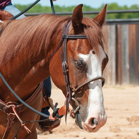 Martin Noeband Single Rope Choc Harness Covered
